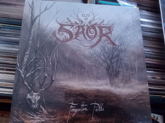 Saor – Forgotten Paths