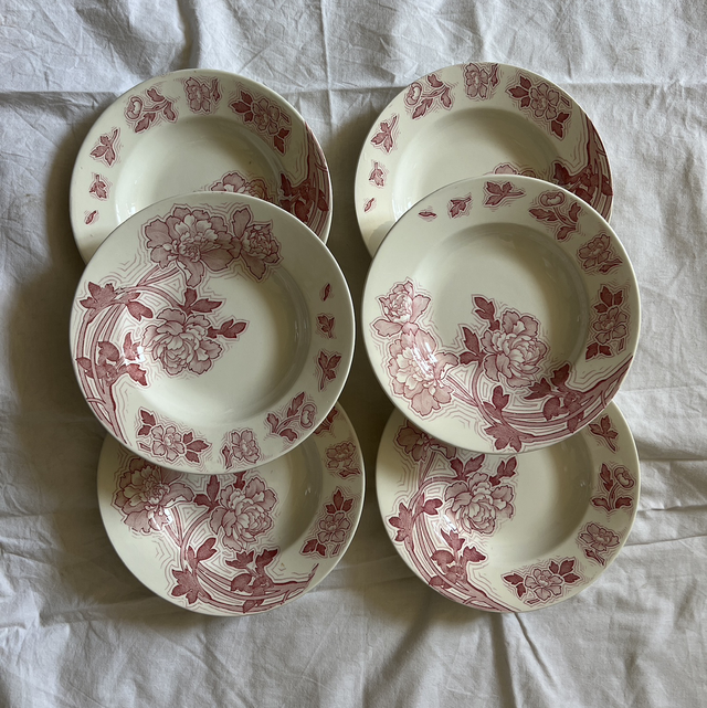 Floréal - les 6 assiettes creuses K&amp;G Lunéville