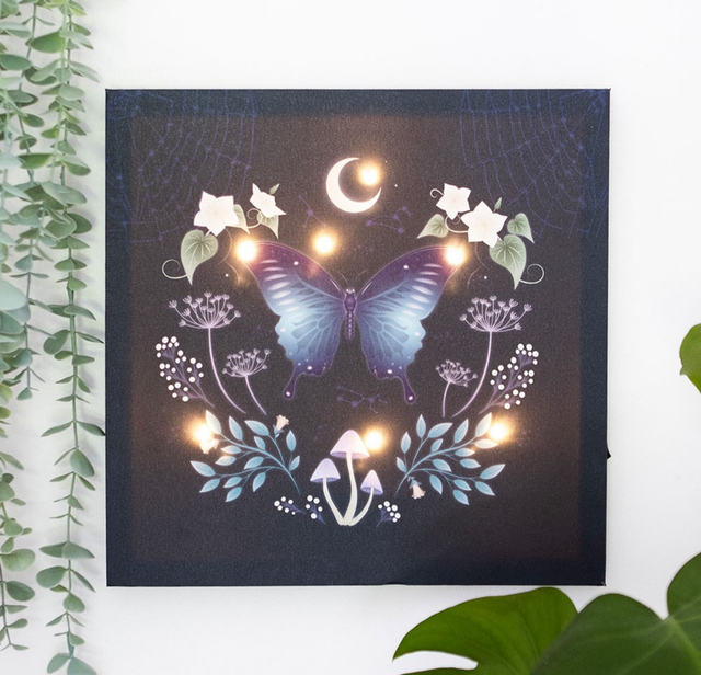 Midnight moth light up canvas