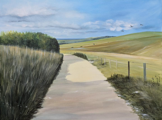 The South Downs Way
