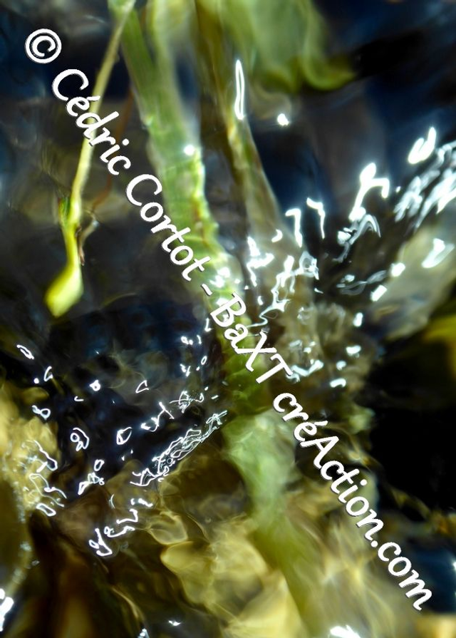 Carte postale - Reflets et cours d'Eau (Ref P1170520)