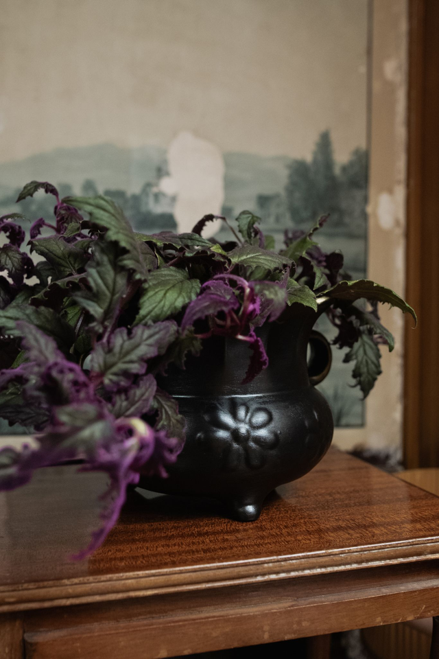 Botanical Witch 🌒 Cache-pot upcyclé