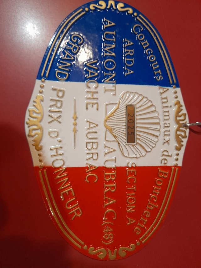 Vente flasch Vache aubrac primé 10kg 