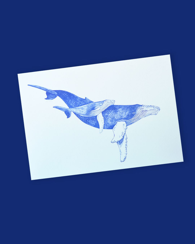 Affiche imprimée en risographie les baleines à bosse