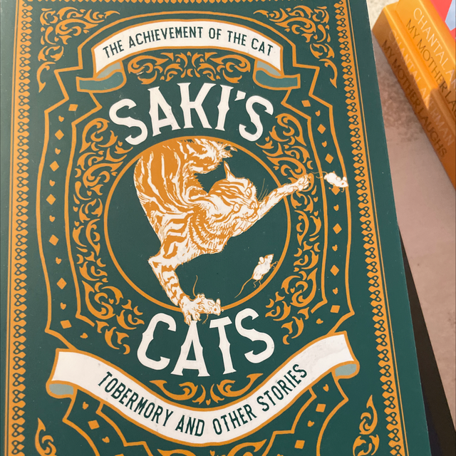Saki’S Cats