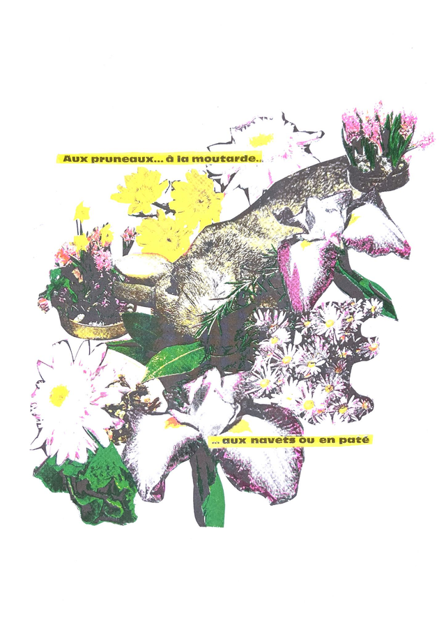 Lison - Sublimer le lapin - F2897