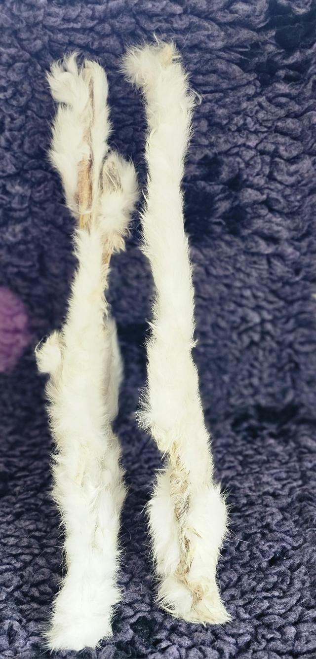 Hairy Rabbit Skins 