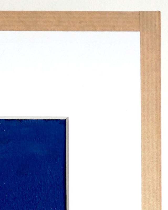 Cyanotype "Hybride en bleu n°14"