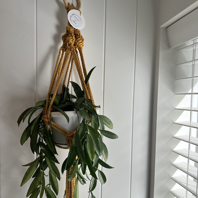 Short Simple Plant Hanger