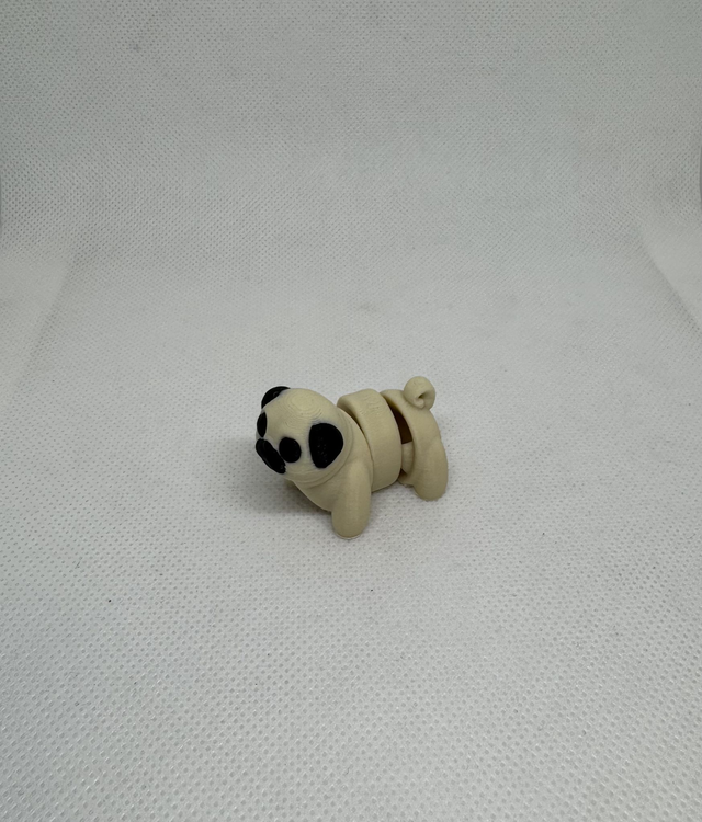 Chien 
