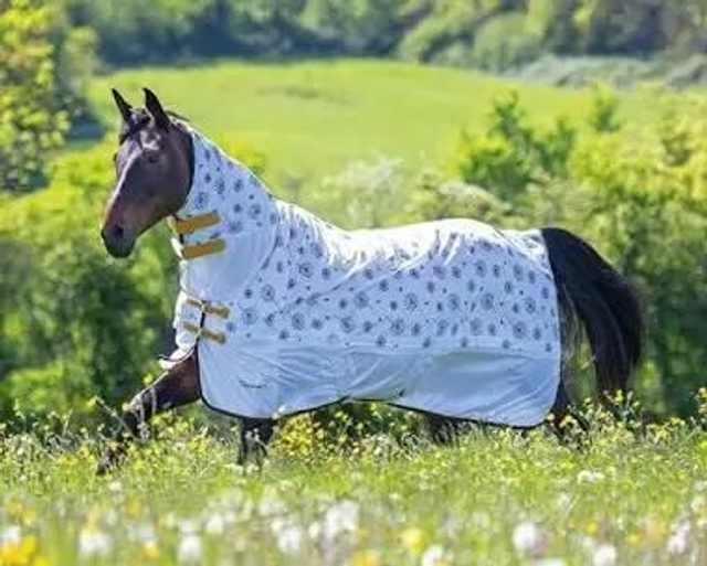 Shires Tempest Dandelion Fly Combo