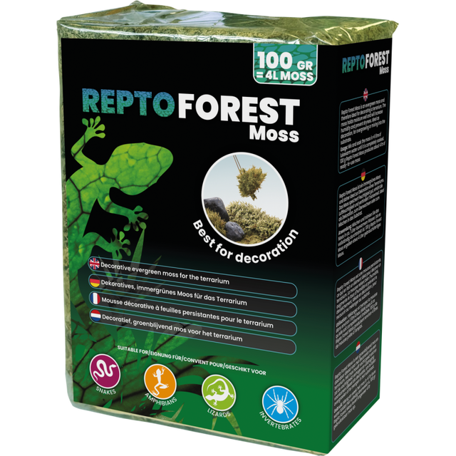 Repto Forest Moss – Mousse de forêt – 100 g 