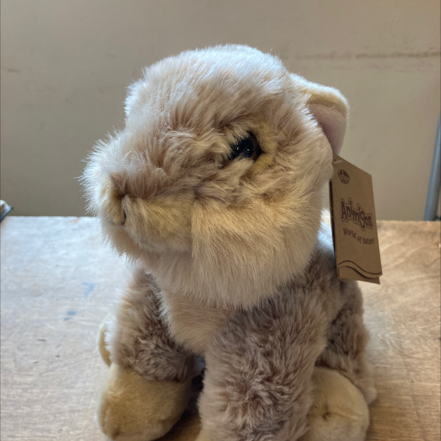Rabbit Soft Toy Medium