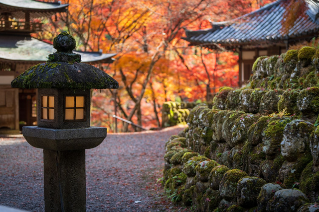 Autumn at Otagi Nembutsu-ji