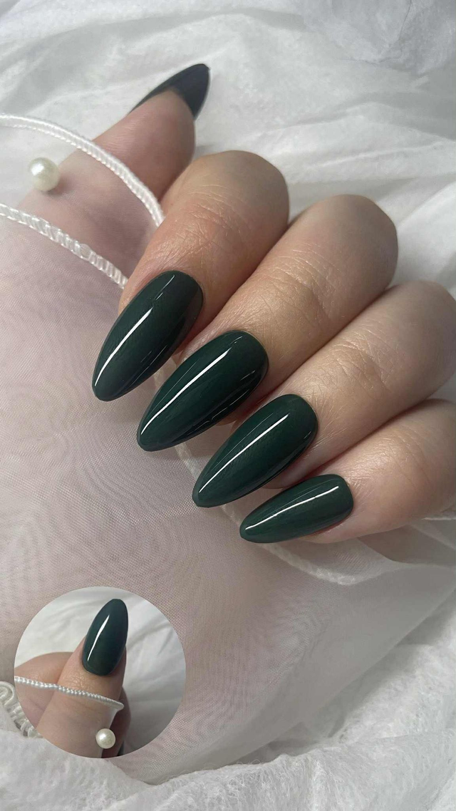 Vert Forêt