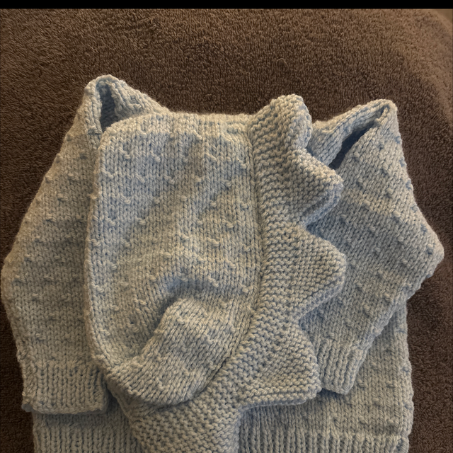Blue dinosaur hooded cardigan 12-18months