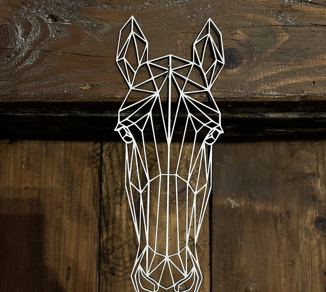 Tête de cheval 🐴 