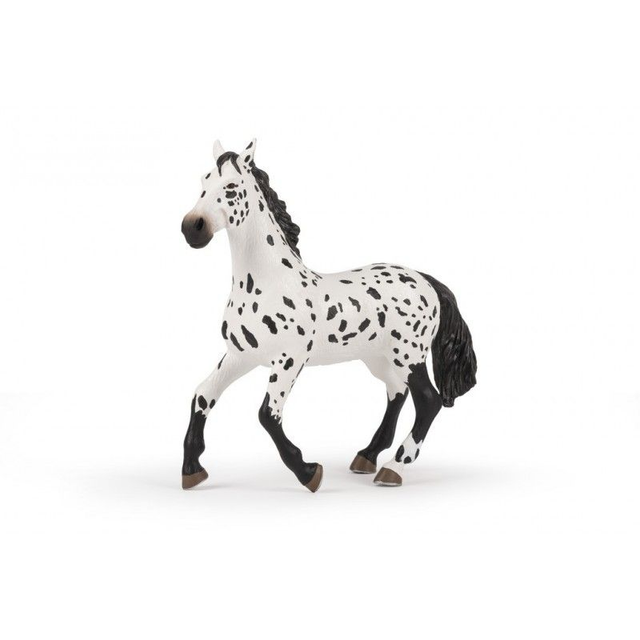 GRAND CHEVAL APPALOOSA PAPO
