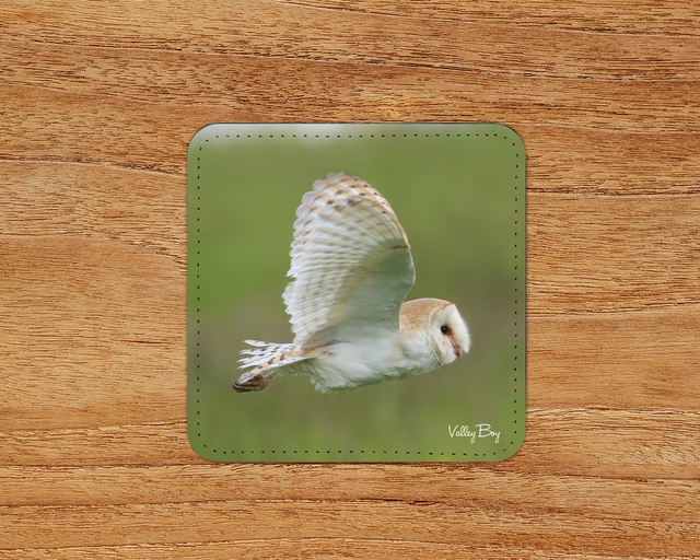 “Barn Owl” Coaster