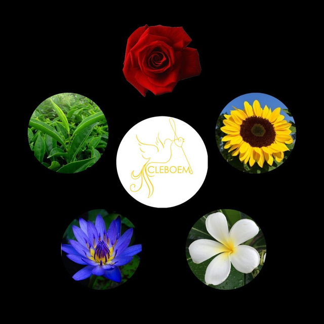 Vivre en harmonie du vivant