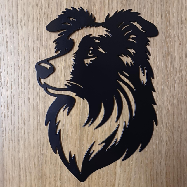 Steel Border Collie