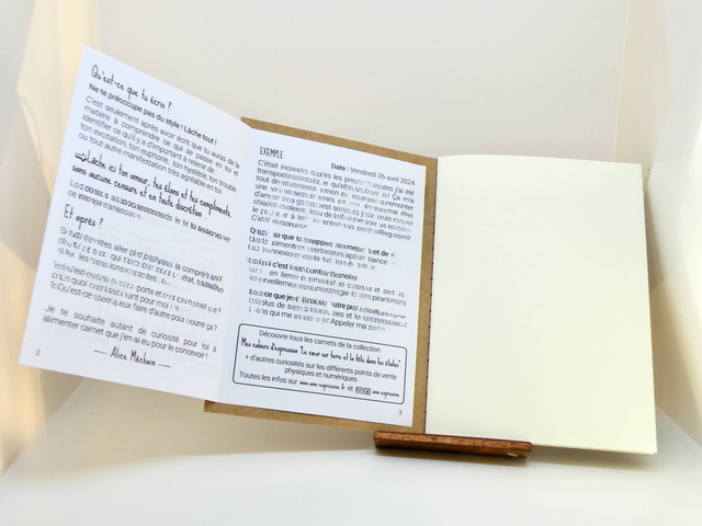 Mon cahier Bipolaire