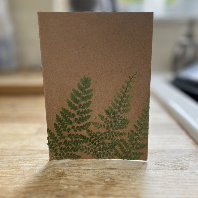 Fern 03 Greeting Card