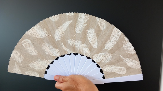 Éventail plumes 