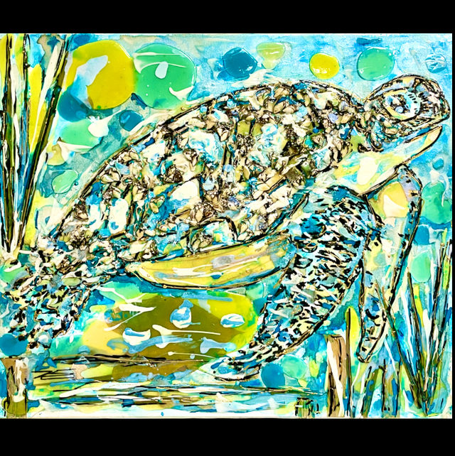 Kura Kura - 46x55cm - 2023