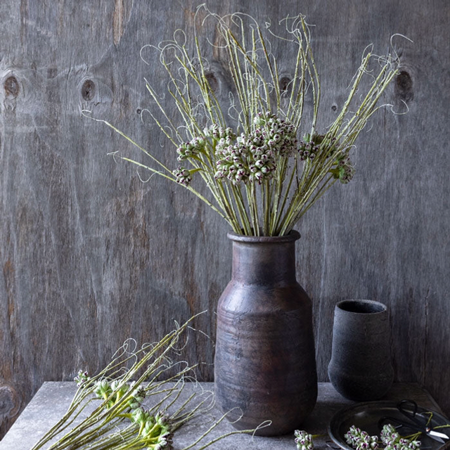 Green Shoots Thistle