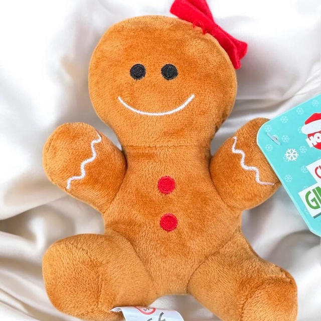 Mini gingerbread Teddy