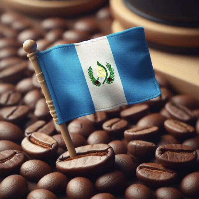 Guatemala Huehuetenango - Cafe De Mujeres