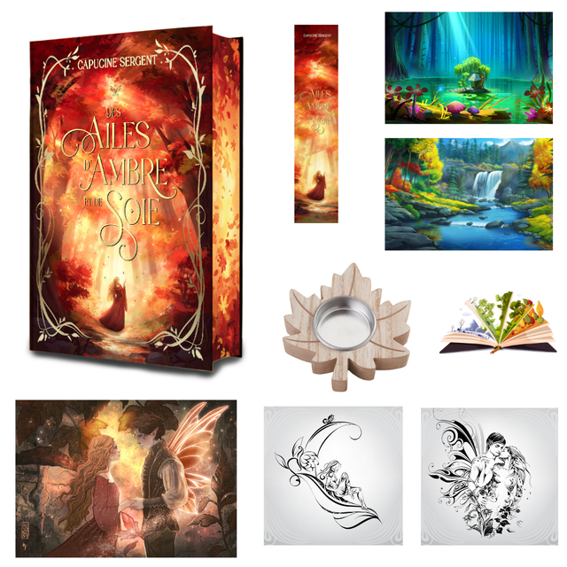 Box - Des Ailes d'Ambre et de Soie