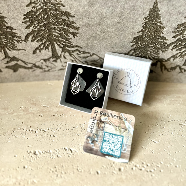 Boucles d’Oreilles Ébène &amp; Acier Argenté | Design Minimaliste