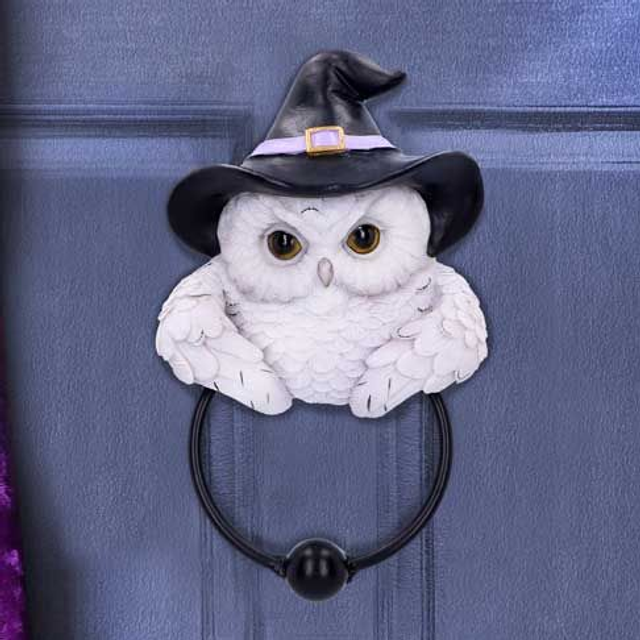 Snowy Magic Door Knocker 21cm