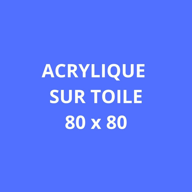 ACRYLIQUES SUR TOILE  - 80 x 80 cm
