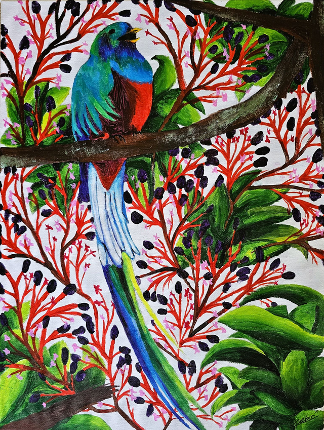 Resplendent Quetzal