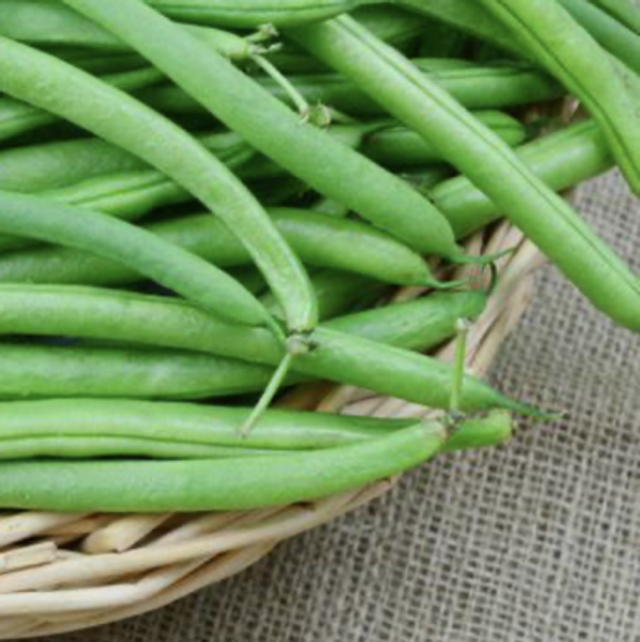 Haricot verts barquette (250g)