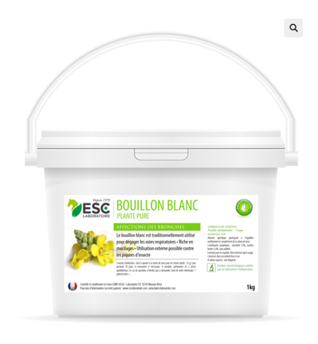 BOUILLON BLANC – Irritation et encombrement des bronches cheval – Plante pure