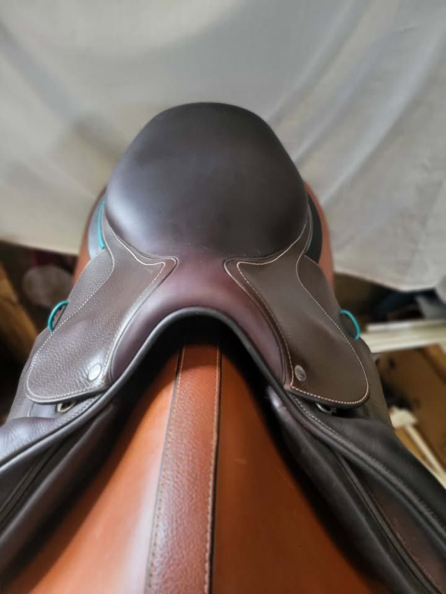 Selle Forestier Séoul - 2023 - 17" - occasion