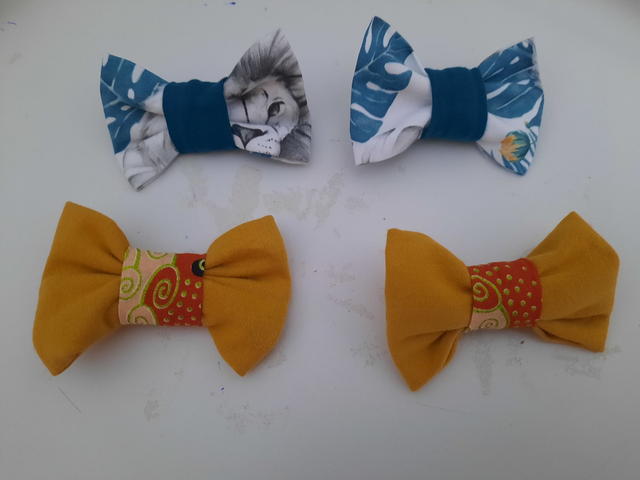 barrettes (lot de 2)