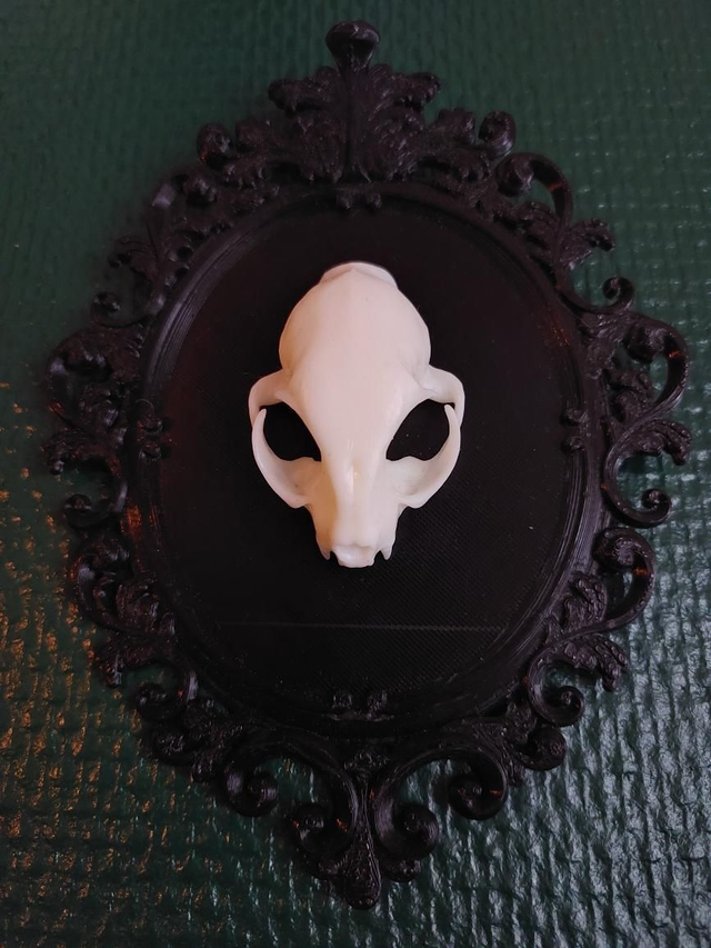 Cadre baroque avec crâne de chat en résine 