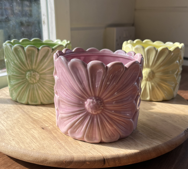 Flower embossed pastel pot
