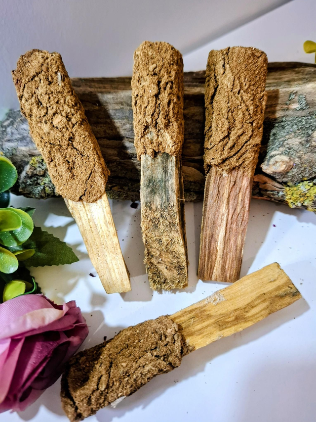 PALO SANTO CON CANELA CLAVO Y ANIS 