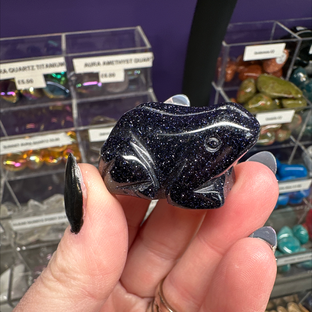 Blue Goldstone Frog 