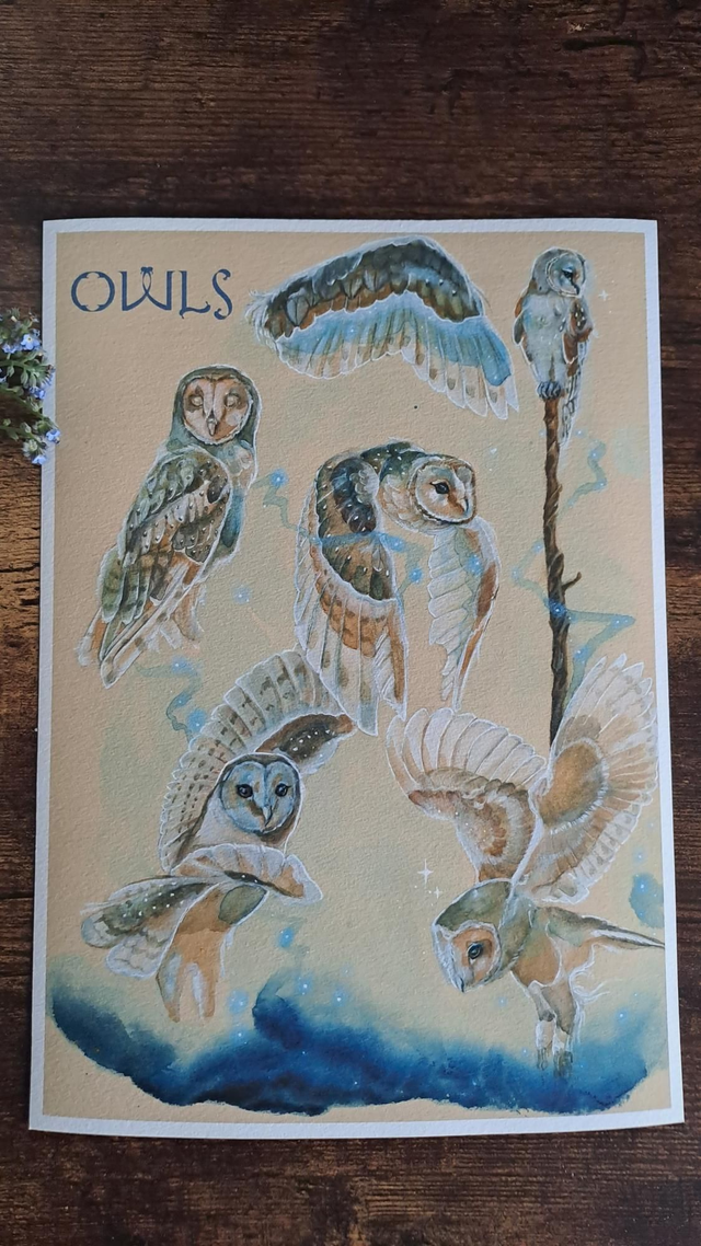 Magic Owls