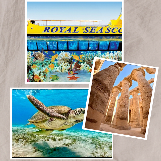 History and passion package 