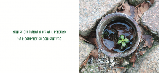 Piccolo Verde - di Chiara Carminati & Massimiliano Tappari