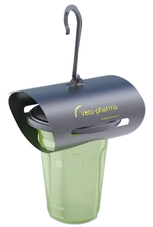 Asian Hornet Trap, Vespa Catch - trap only (no lures)