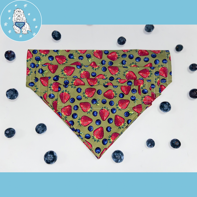 Fruit Salad Handmade Dog Accessories 